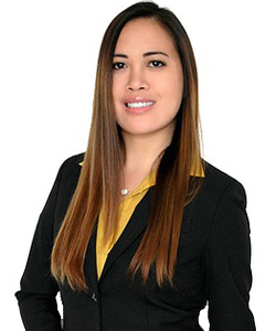 自动攻击网站工具下载